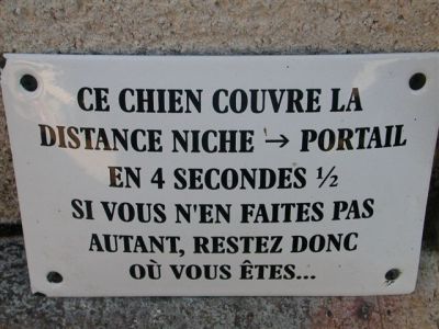 Chien rapide